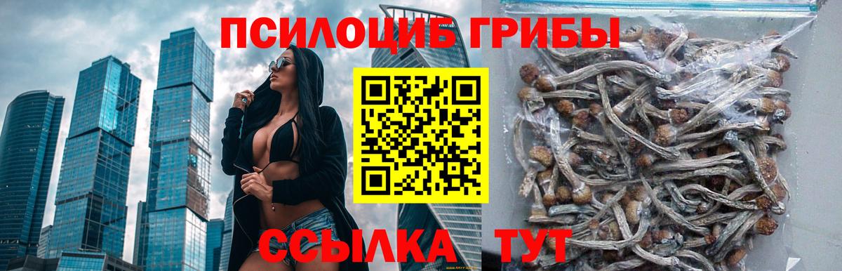 Псилоцибиновые грибы GOLDEN TEACHER  Вход с VPN  дарнет шоп  Крымск 